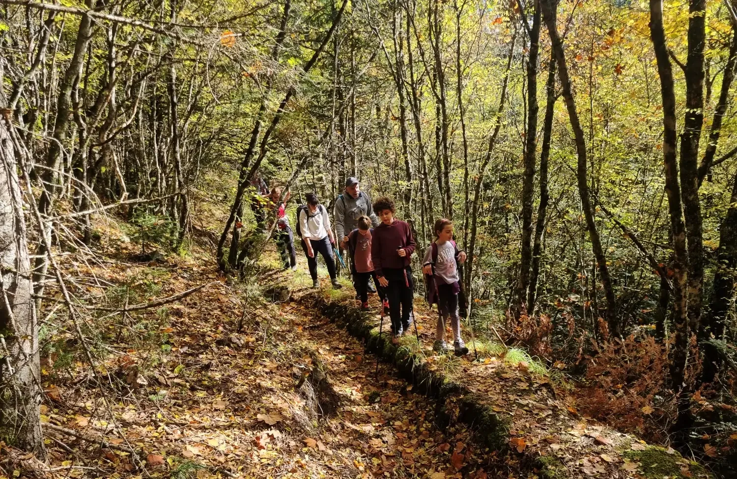 Historic stone-paved path through a mountain landscape in Epirus