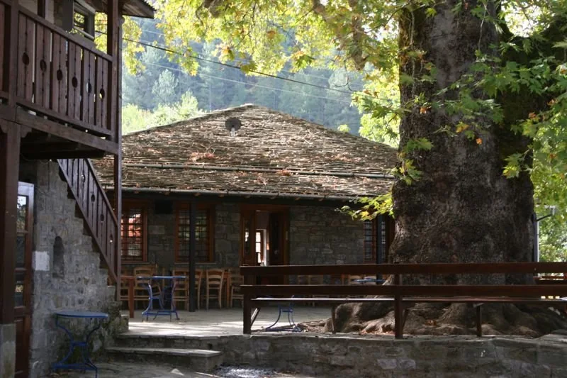 Traditional stone houses in a mountain village in Epirus