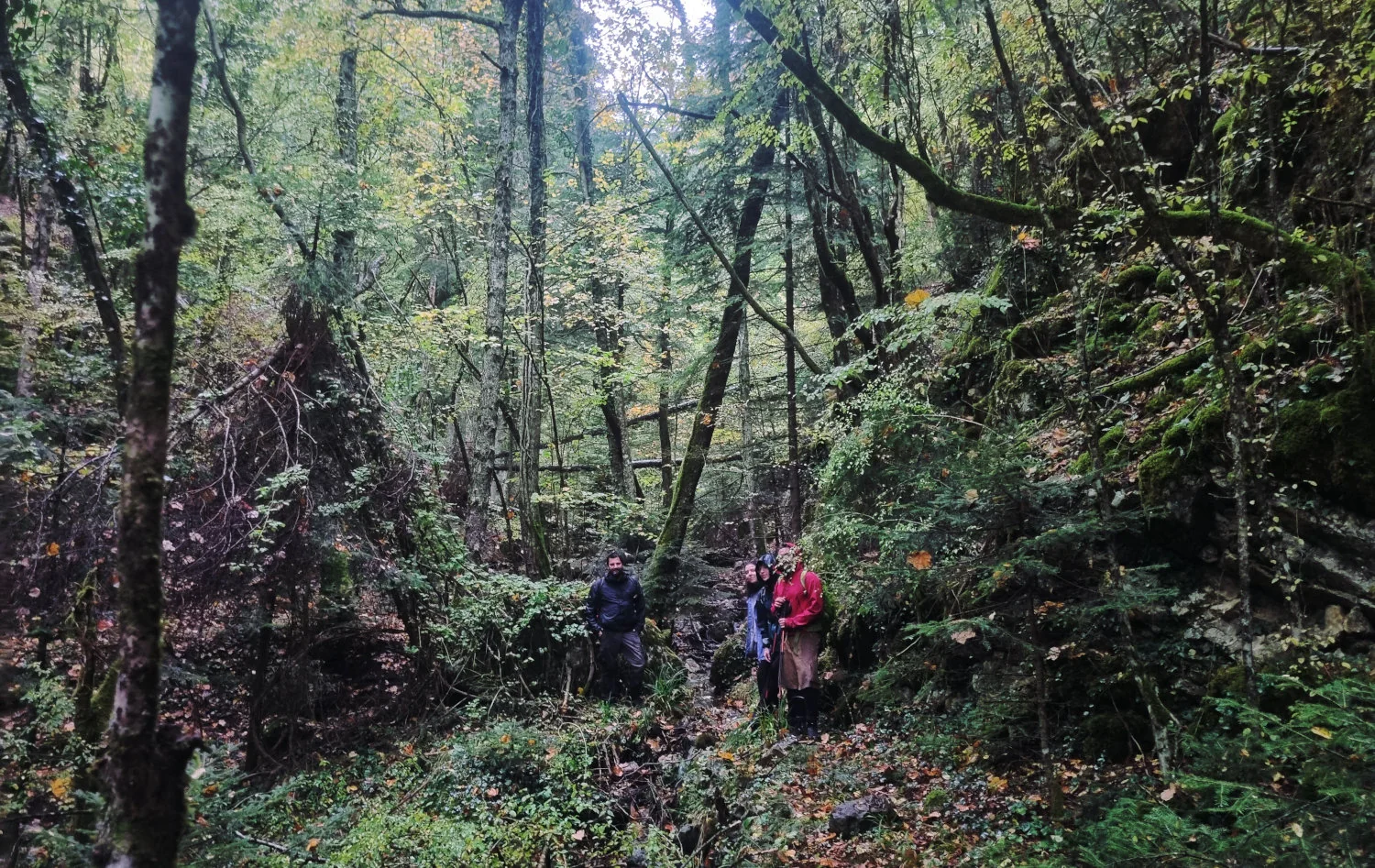 Hikers walking through the forest trails of Mastorochoria in Epirus