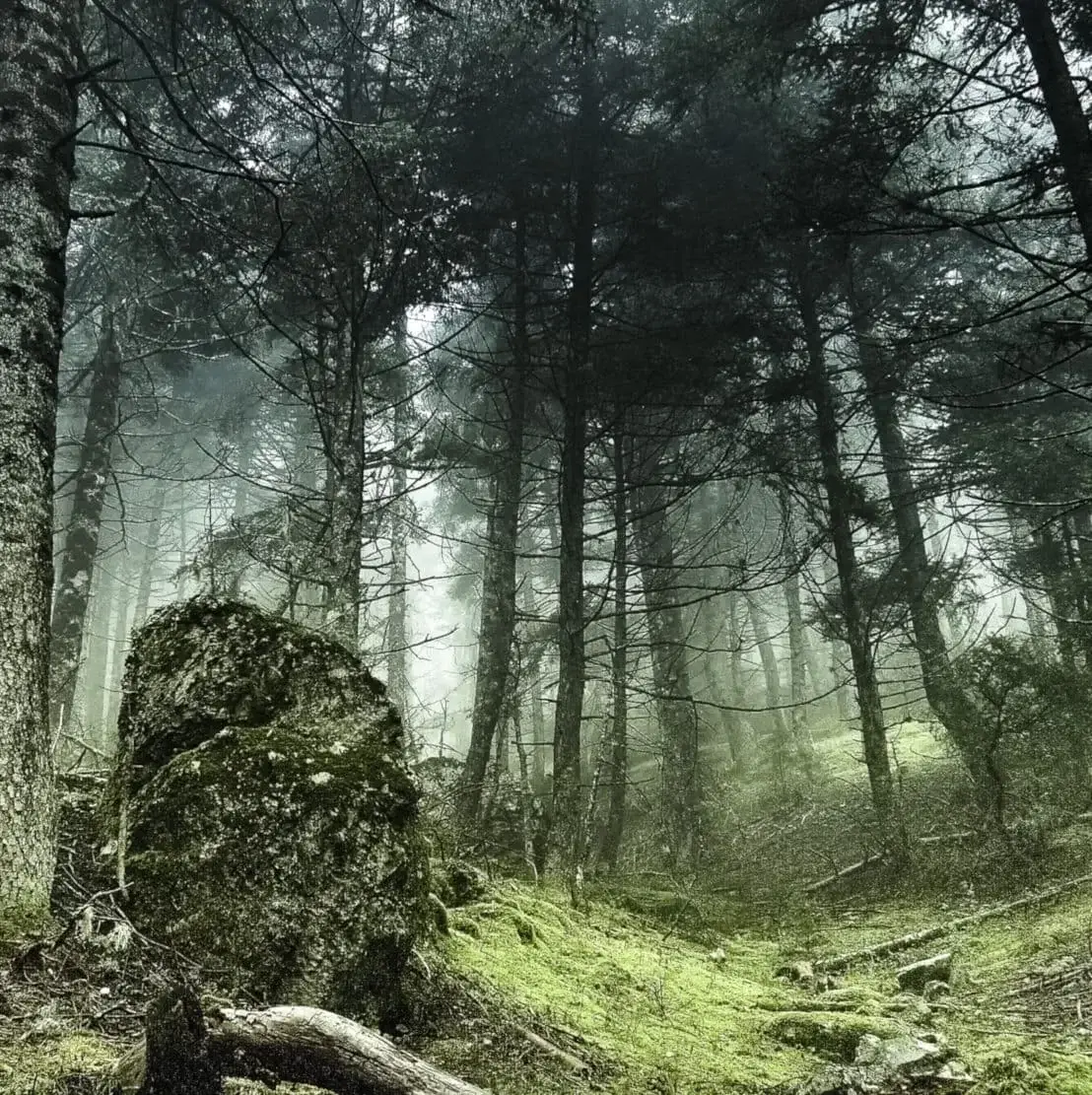 Mountain hiking trail in Mainalo, Peloponnese