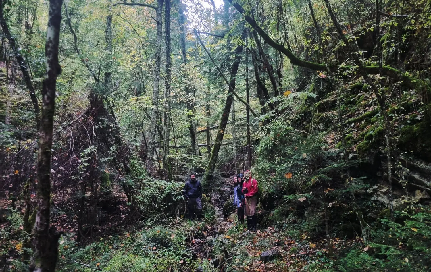 amarantos hiking trail in Epirus