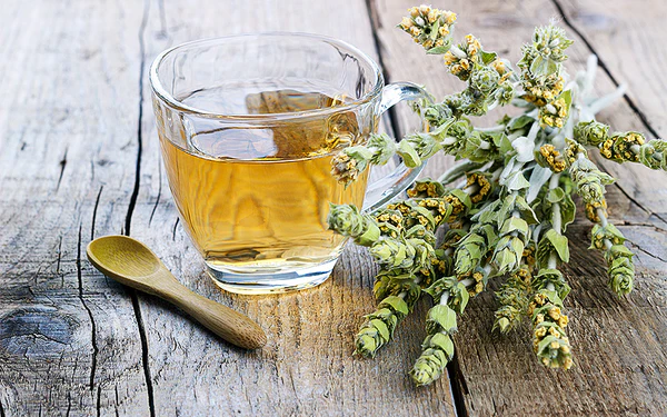 mountain tea