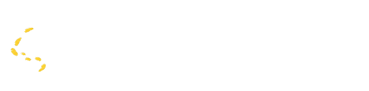 Vrontalida